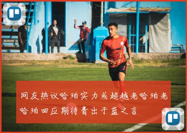 网友热议哈珀实力或超越老哈珀老哈珀回应期待青出于蓝之言